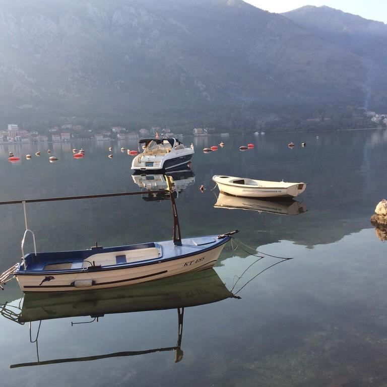 Adriatic Pearl Apartments Kotor Exteriér fotografie