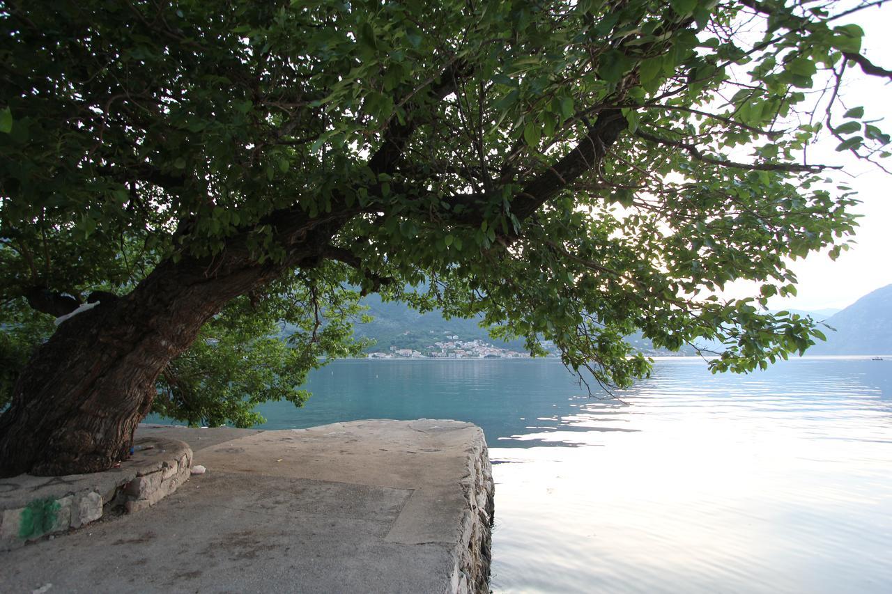 Adriatic Pearl Apartments Kotor Exteriér fotografie